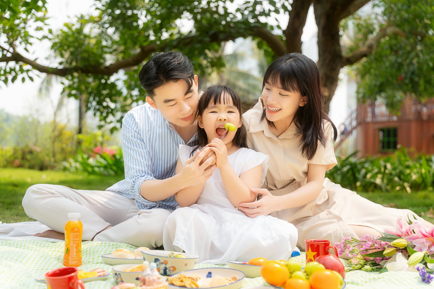 Family eating a picnic meal on a blanket in the park.